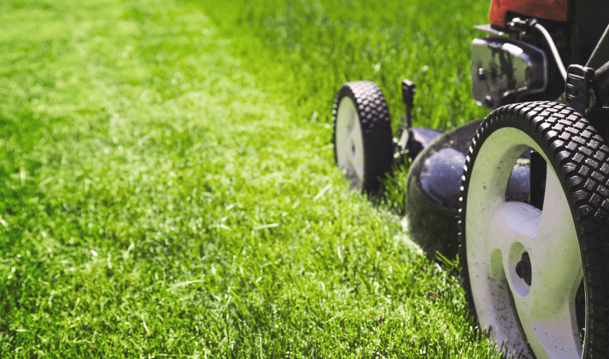 Willy's By The Water Lawncare And Landscaping